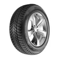 Nexen Winguard Ice Plus 225/40 R18 92T Originální