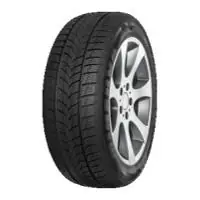 Ihned K Objednání Minerva Frostrack UHP 225/55 R17 97H