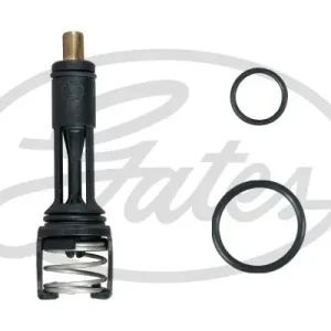 Termostat GATES (GT TH606113G1) Časově Omezené
