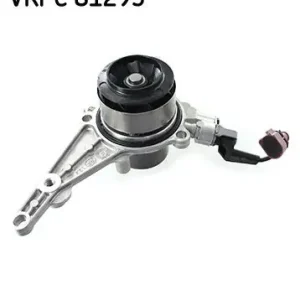 Vodní pumpa SKF VKPC 81295 Nejlepší Cena